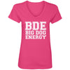 Big Dog Energy V-Neck Tee