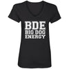 Big Dog Energy V-Neck Tee