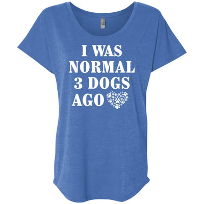 I Was Normal 3 Dogs Ago Slouchy Tee