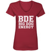 Big Dog Energy V-Neck Tee