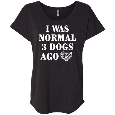 I Was Normal 3 Dogs Ago Slouchy Tee