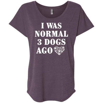 I Was Normal 3 Dogs Ago Slouchy Tee