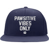 Pawsitive Vibes Only Snapback Hat